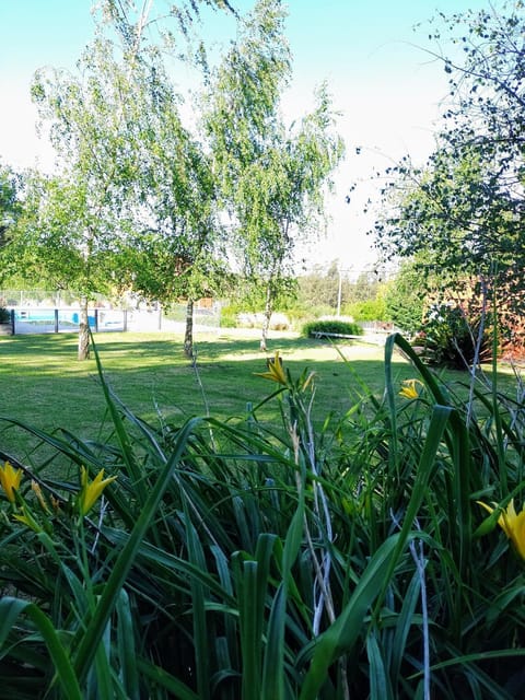 Garden, Garden view