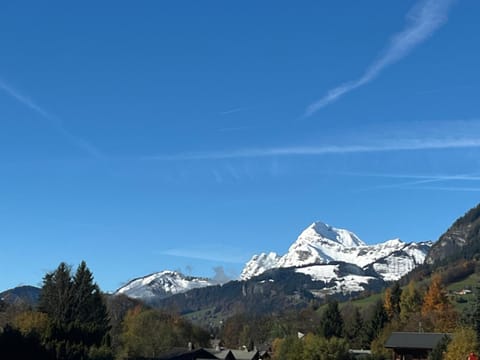 Le Nantoran Apartment in Megève