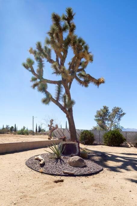 Joshua Tree - Skyview Ranch Hot Tub & Glamping Maison in Yucca Valley