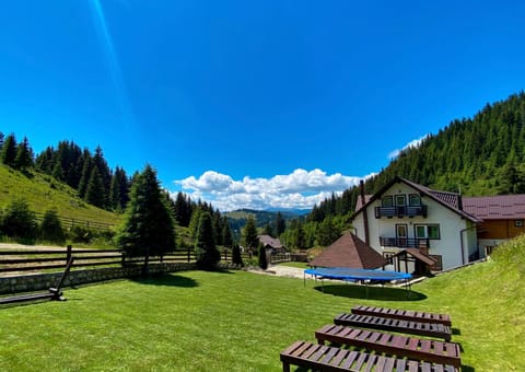 Pensiunea Poienita Ursului Bed and Breakfast in Brașov County