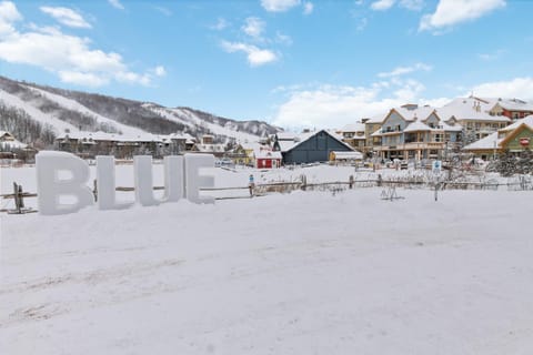 Modern Mountainside Ski in Ski out 87111 House in Grey Highlands