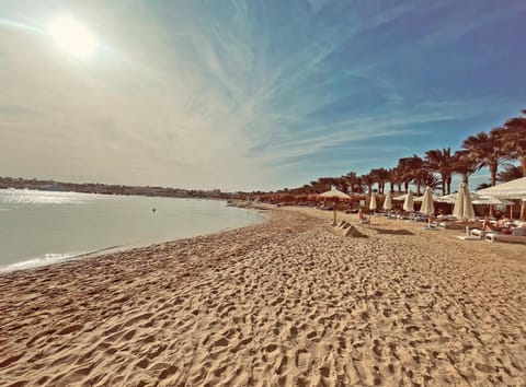 Bird's eye view, Beach