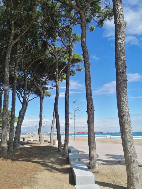 Beach, Sea view