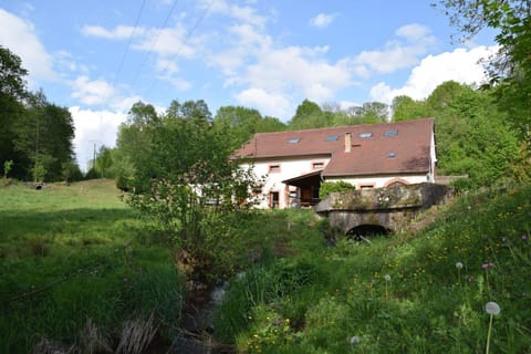 Acconat-Domaine du Moulin ( 8 Gîtes ) Apartment in Vosges