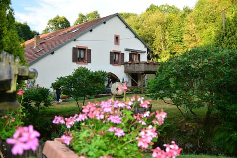 Acconat-Domaine du Moulin ( 8 Gîtes ) Apartment in Vosges