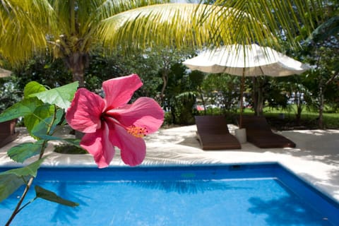 Pool view, Swimming pool, Swimming pool