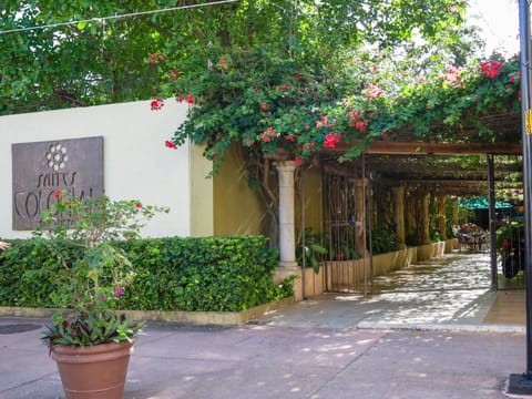 Property building, Day, Garden, Garden view