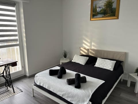 Travel homes spacieux et paisible parking privé Condo in Mulhouse