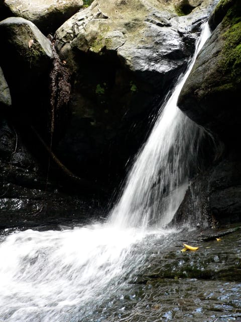 Nearby landmark, Natural landscape