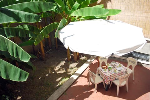 Patio, Spring, Day, Garden, Dining area, Garden view