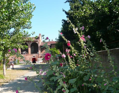 Garden, Area and facilities