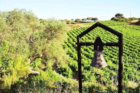 Fabulosa Quinta do Vento Villa in Palmela