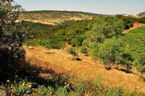 Natural landscape, View (from property/room), Hiking, Mountain view