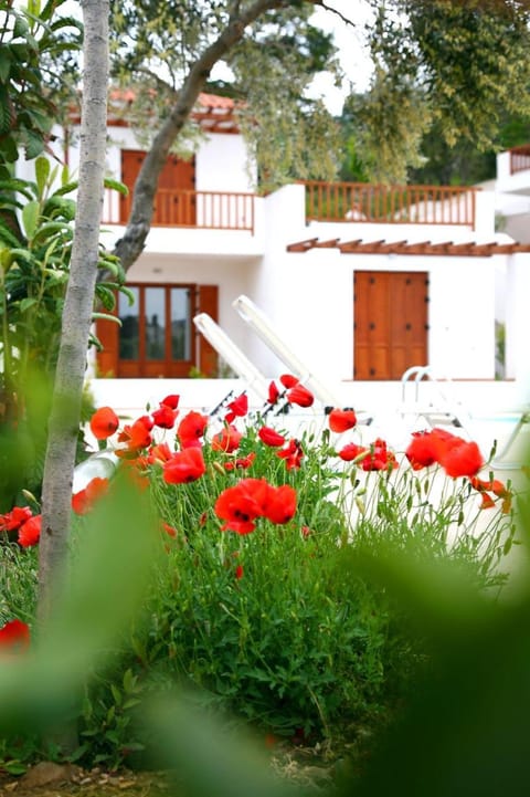 Skopelos Summer Homes Condo in Skopelos