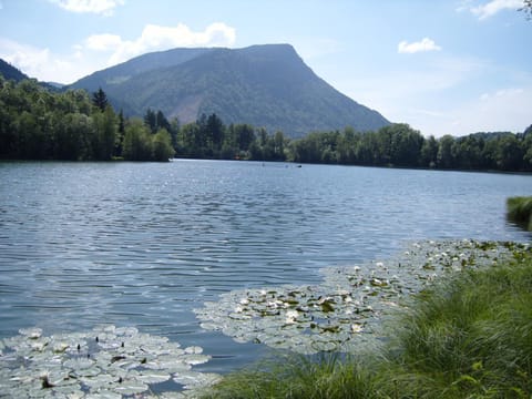 Allgäu Berge und Seen Apartment in Immenstadt