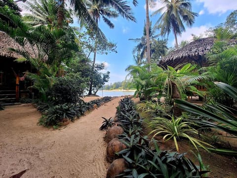 Bamboo Bay Island Resort Chalet in Ko Pha-ngan Sub-district