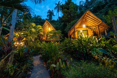 Night, Natural landscape, Garden view