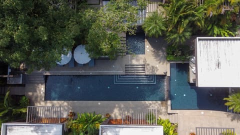 Pool view, Swimming pool