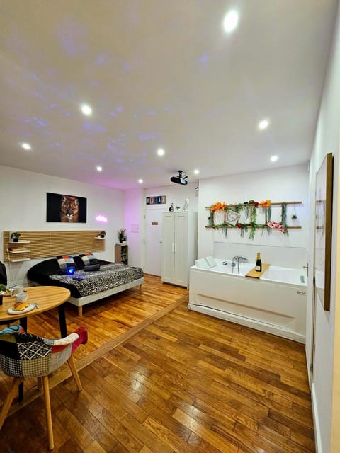 Le 2005 Double BALNEO, Lit QUEEN SIZE, soirée romantique Apartment in Grenoble