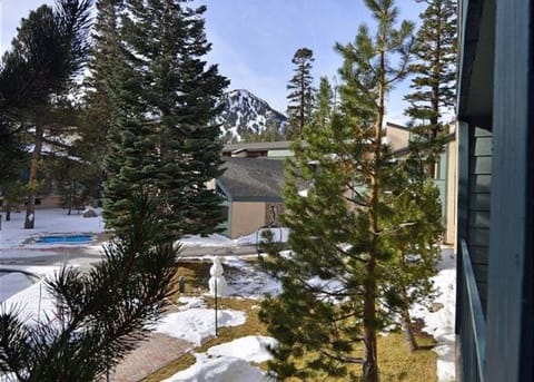 St Anton Courtyard View Ski-In and Out 1 Bedroom Condo Apartment in Mammoth Lakes