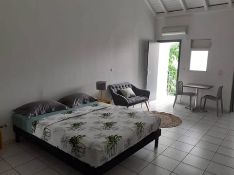 Séjour d’affaires ou de loisirs à Pointe à Pitre Apartment in Les Abymes