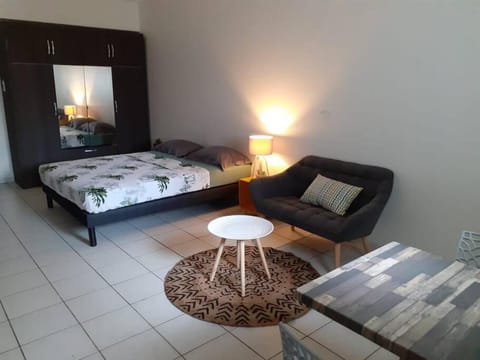 Séjour d’affaires ou de loisirs à Pointe à Pitre Apartment in Les Abymes