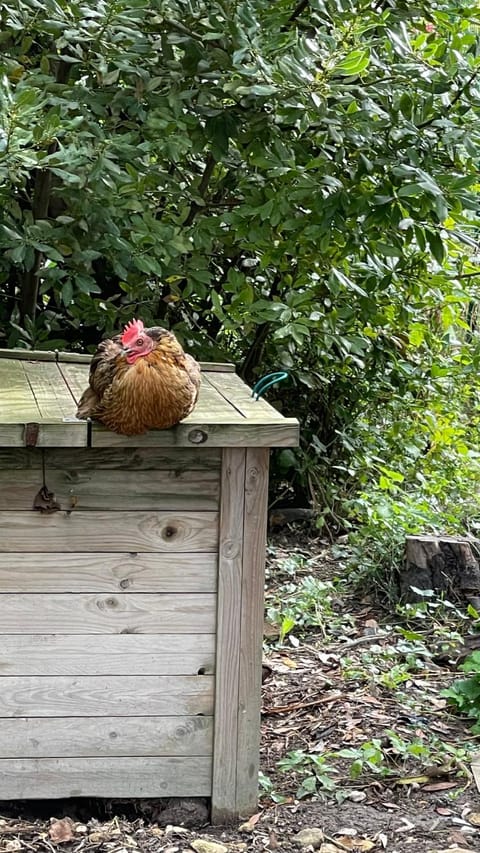 Studio les petits lutins Apartment in Provence-Alpes-Côte d'Azur