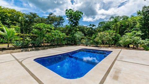 Day, Garden, Garden view, Pool view, Swimming pool