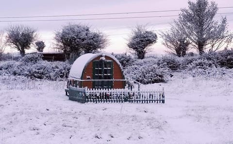 Lovely Glamping Dream Pod in St Austell Cornwall Haus in Saint Austell