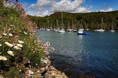 Caleb's Cottage - 4 Bedroom Cottage - Solva Haus in Saint Davids