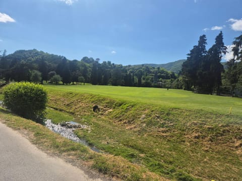 Golfcourse