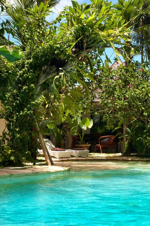 Swimming pool, Swimming pool