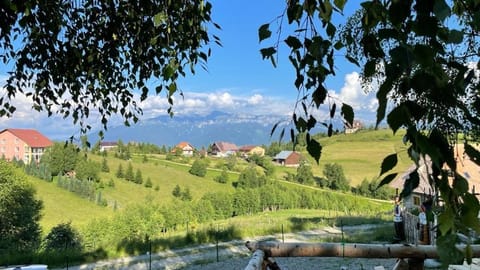 CABANA CU MESTECENI Nature lodge in Brașov County