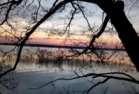 Zum Waldblick Apartment in Plau am See