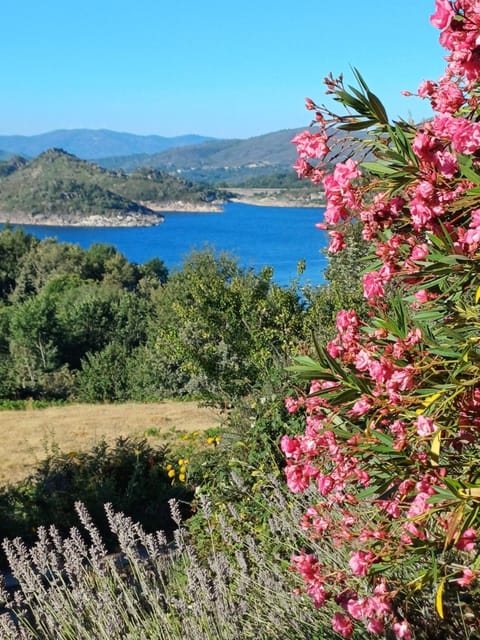 Summer, Mountain view, River view, Sea view