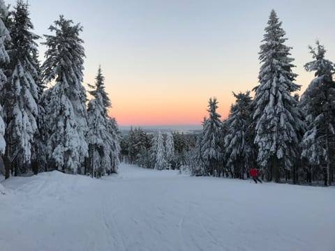 Natural landscape, Winter, Skiing, Sunset