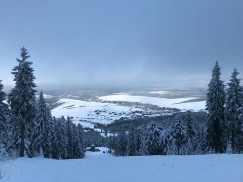 Natural landscape, Winter, Skiing