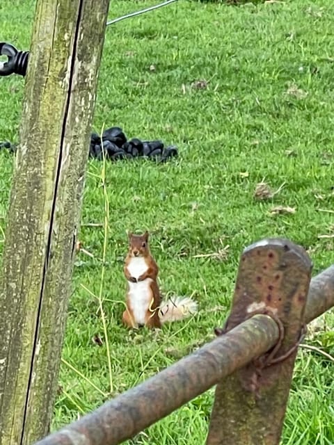 1-Bed studio Apartment nr Cockermouth Apartment in Allerdale District