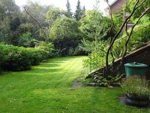 Garden, Garden, Garden view