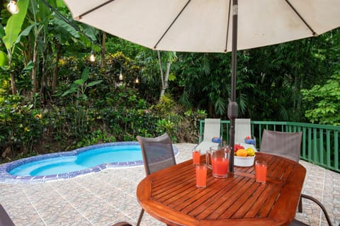 Casa Macaw Jungle Cabin w Private pool Wifi and AC House in Quepos