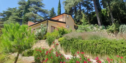 Property building, Day, Natural landscape