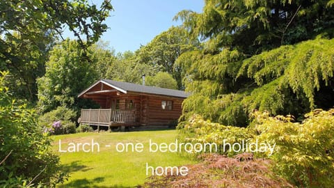 Property building, View (from property/room)