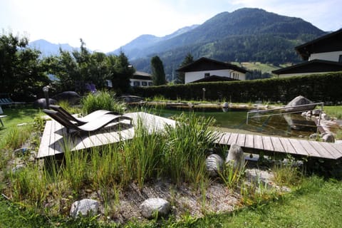 Garden, Swimming pool