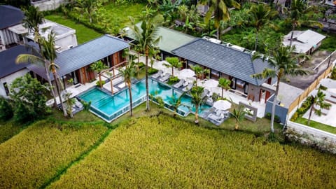 Property building, Natural landscape, Bird's eye view, Garden, Garden view, Pool view, Swimming pool