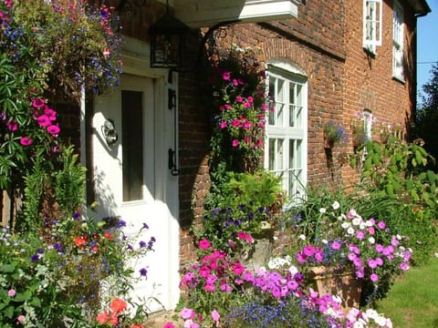 Molland Manor House Self catering (10 bedrooms 9 bathrooms) House in Dover District