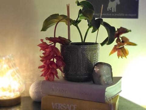 The NEW Blue Horse Suite at The Grumpy Schnauzer B&B Luxury Private Indoor Hot Tub Breakfast in Bed Bed and Breakfast in Coatbridge