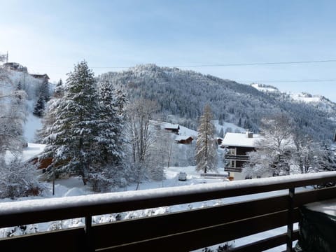 Chaleureux 2P, 4 personnes, proche pistes, La Clusaz - FR-1-304-272 Apartment in Manigod