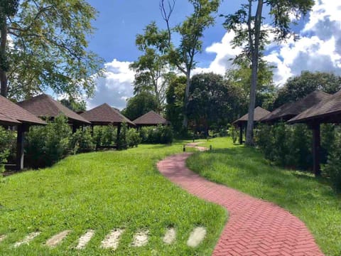 Garden view, Area and facilities