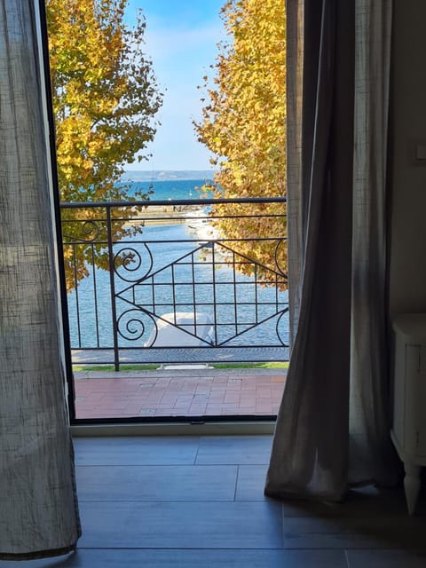 Lake view