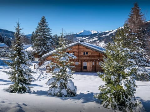 Property building, Day, Natural landscape, Winter, Mountain view